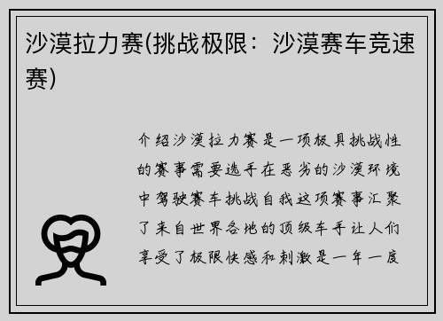 沙漠拉力赛(挑战极限：沙漠赛车竞速赛)